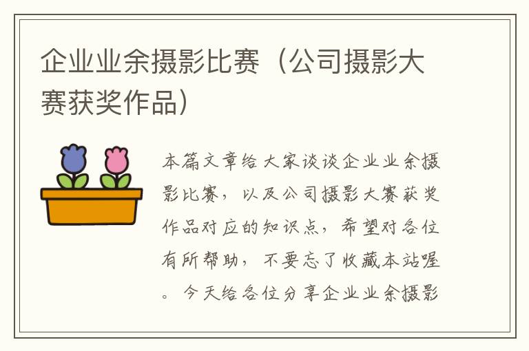 企业业余摄影比赛（公司摄影大赛获奖作品）