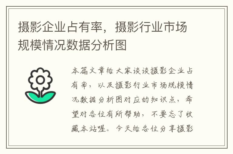 摄影企业占有率，摄影行业市场规模情况数据分析图