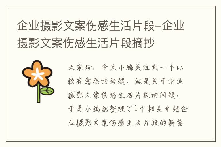 企业摄影文案伤感生活片段-企业摄影文案伤感生活片段摘抄