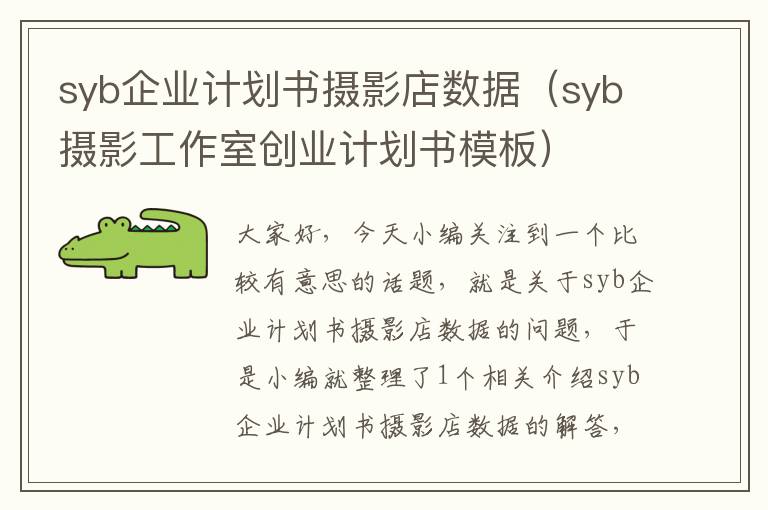 syb企业计划书摄影店数据（syb摄影工作室创业计划书模板）