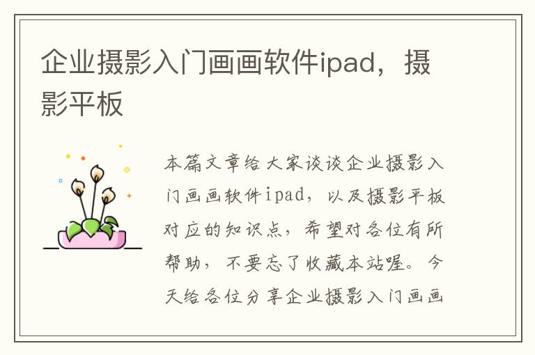 企业摄影入门画画软件ipad，摄影平板