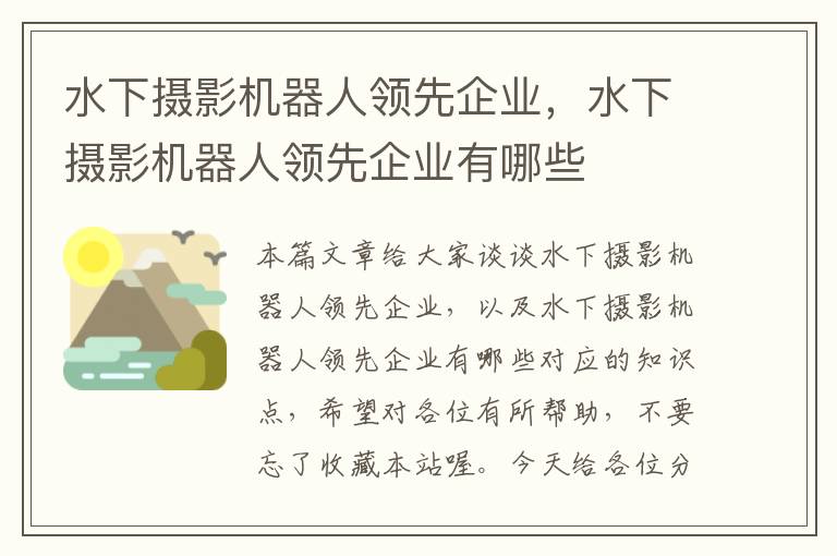 水下摄影机器人领先企业，水下摄影机器人领先企业有哪些