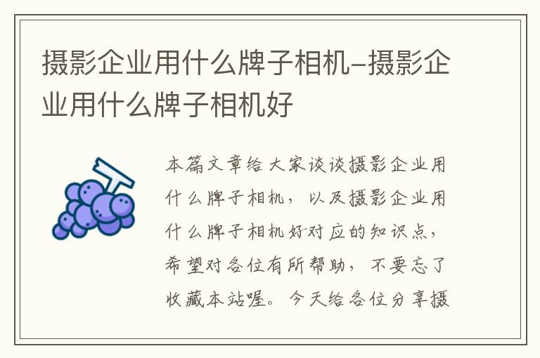 摄影企业用什么牌子相机-摄影企业用什么牌子相机好