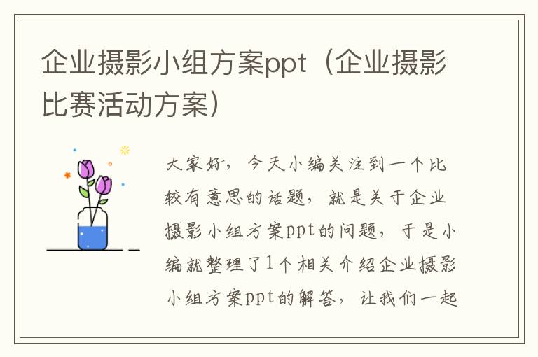 企业摄影小组方案ppt（企业摄影比赛活动方案）