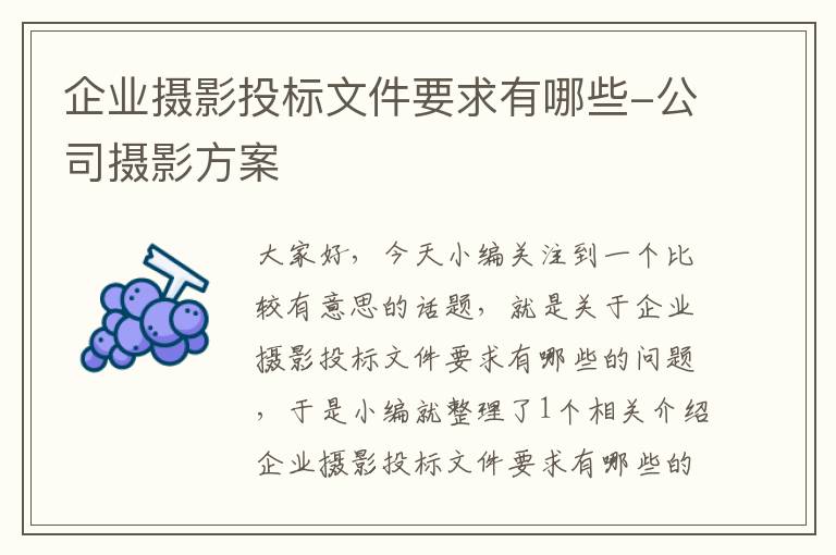 企业摄影投标文件要求有哪些-公司摄影方案