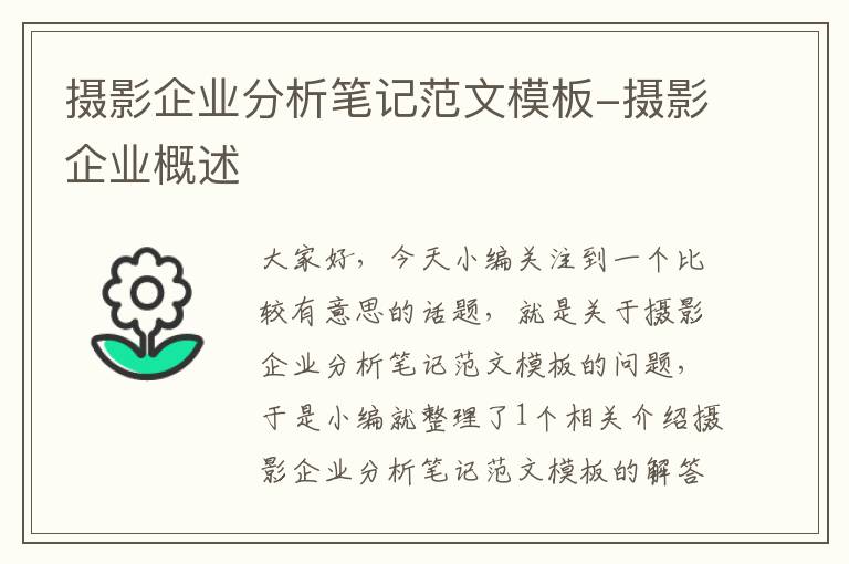 摄影企业分析笔记范文模板-摄影企业概述