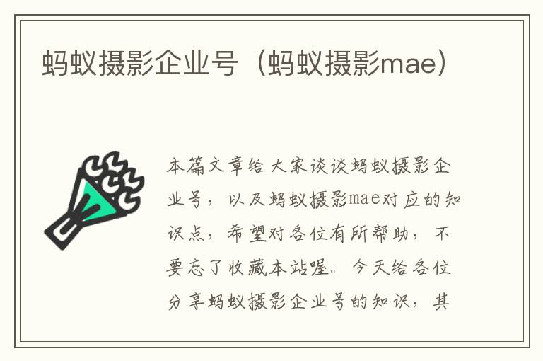 蚂蚁摄影企业号（蚂蚁摄影mae）