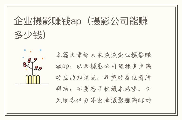 企业摄影赚钱ap（摄影公司能赚多少钱）