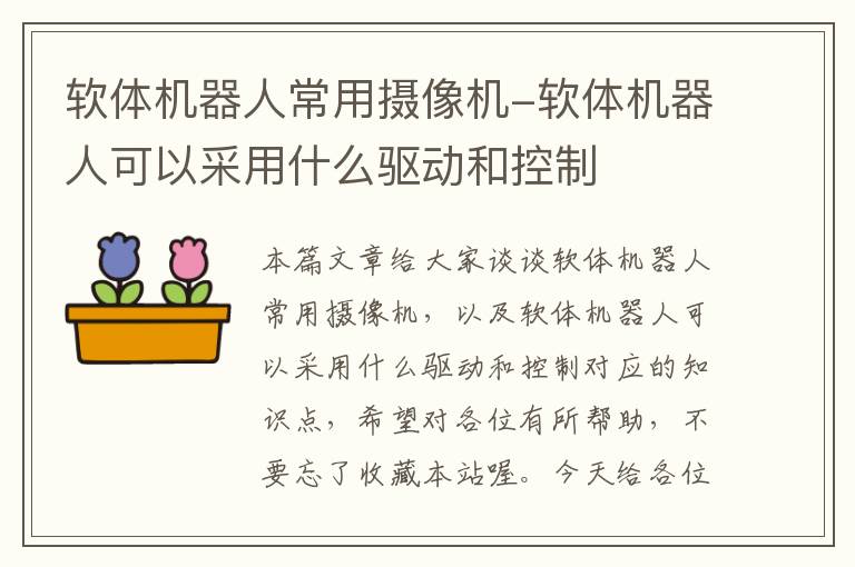 软体机器人常用摄像机-软体机器人可以采用什么驱动和控制