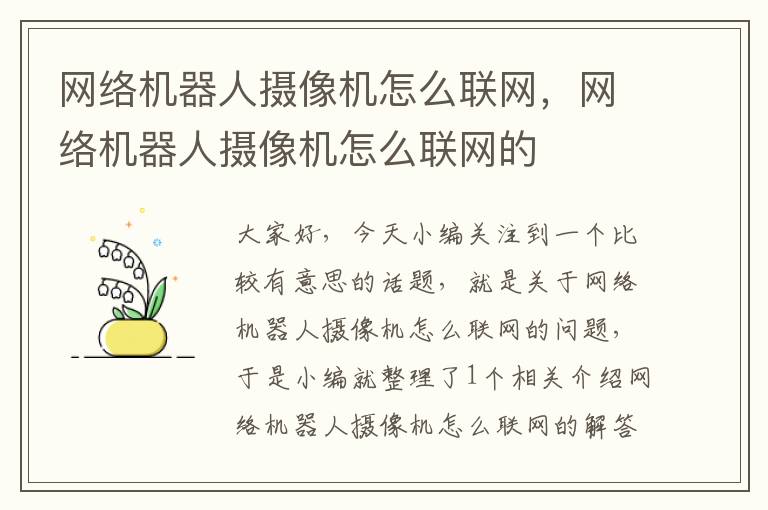 网络机器人摄像机怎么联网，网络机器人摄像机怎么联网的