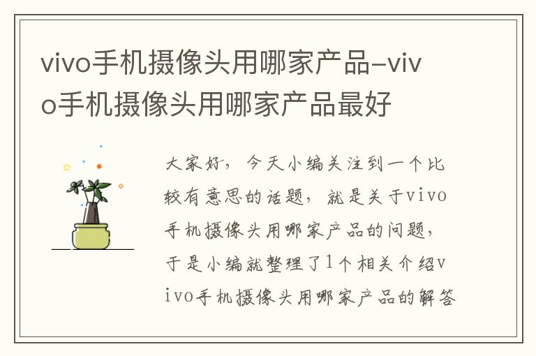 vivo手机摄像头用哪家产品-vivo手机摄像头用哪家产品最好