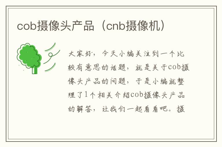 cob摄像头产品（cnb摄像机）