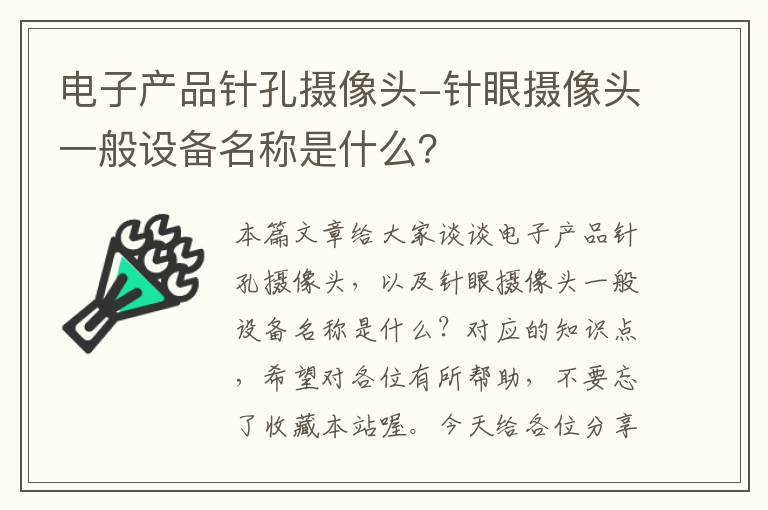 电子产品针孔摄像头-针眼摄像头一般设备名称是什么？