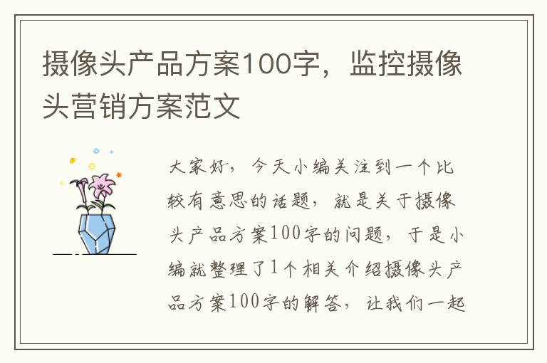 摄像头产品方案100字，监控摄像头营销方案范文