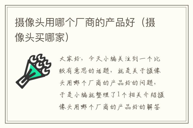 摄像头用哪个厂商的产品好（摄像头买哪家）