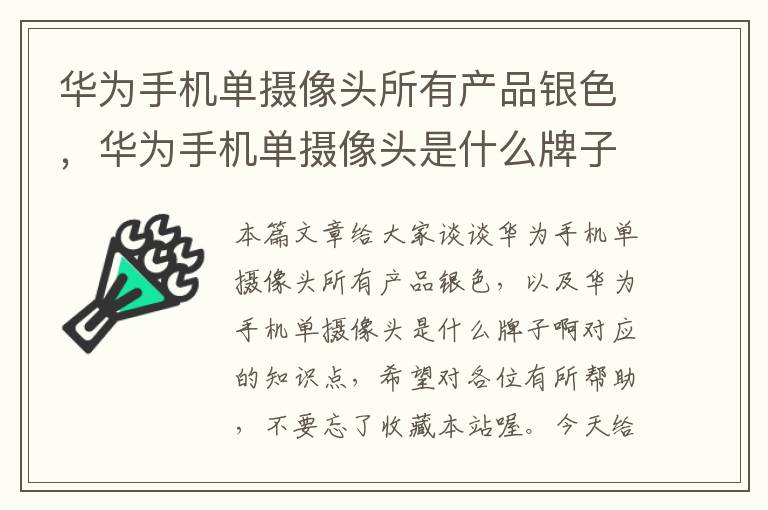 华为手机单摄像头所有产品银色，华为手机单摄像头是什么牌子啊