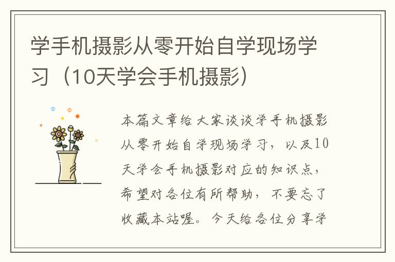 学手机摄影从零开始自学现场学习（10天学会手机摄影）