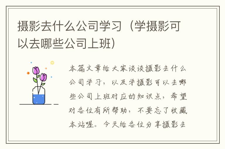 摄影去什么公司学习（学摄影可以去哪些公司上班）