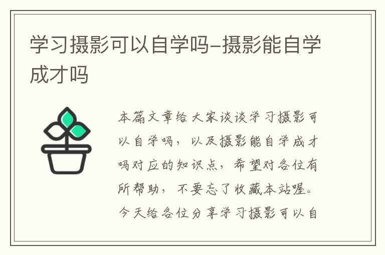 学习摄影可以自学吗-摄影能自学成才吗