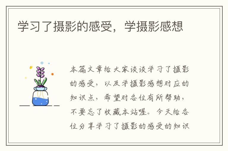 学习了摄影的感受，学摄影感想