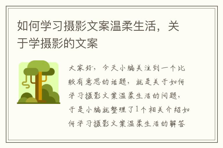 如何学习摄影文案温柔生活，关于学摄影的文案