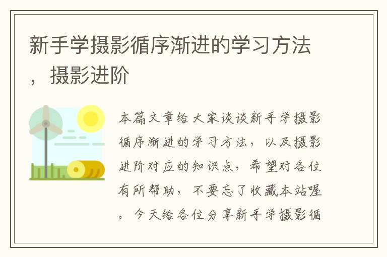 新手学摄影循序渐进的学习方法，摄影进阶