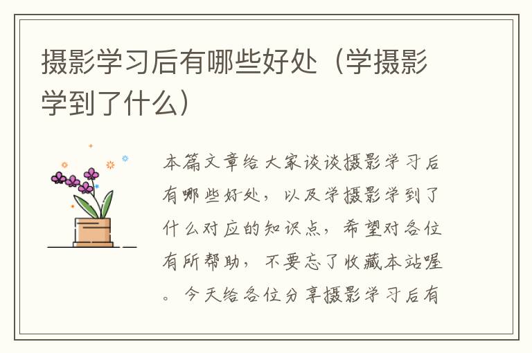 摄影学习后有哪些好处（学摄影学到了什么）