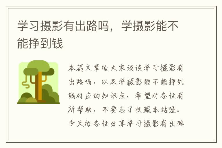 学习摄影有出路吗，学摄影能不能挣到钱