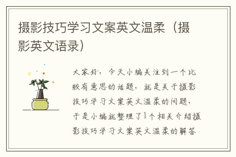 摄影技巧学习文案英文温柔（摄影英文语录）