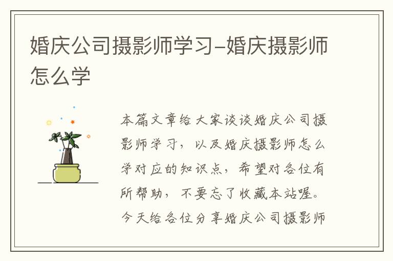 婚庆公司摄影师学习-婚庆摄影师怎么学