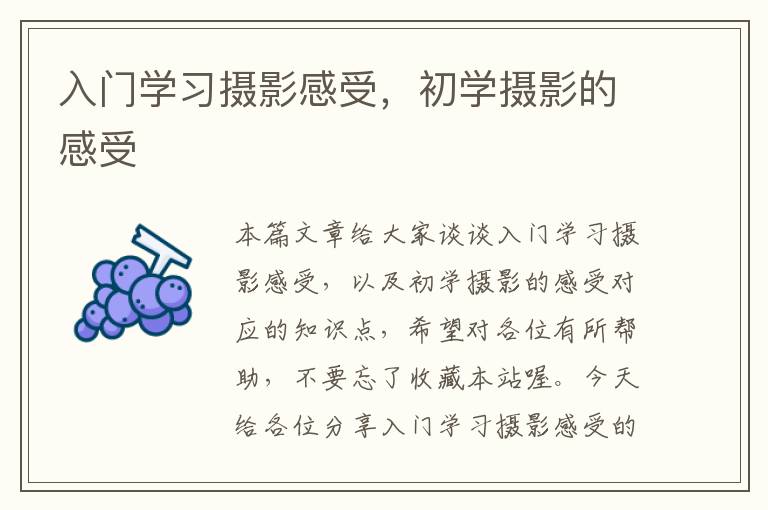 入门学习摄影感受，初学摄影的感受