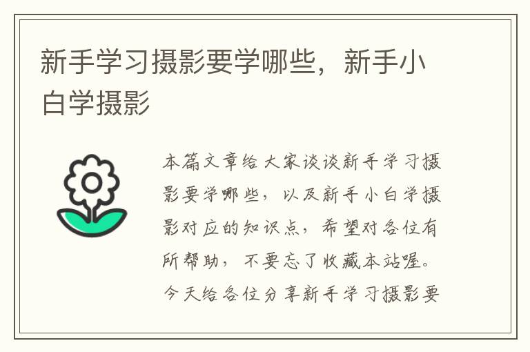 新手学习摄影要学哪些，新手小白学摄影