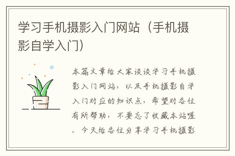 学习手机摄影入门网站（手机摄影自学入门）