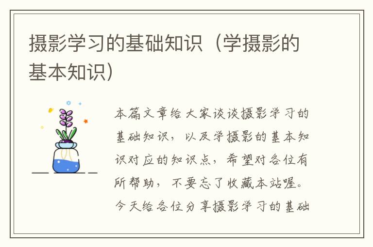 摄影学习的基础知识（学摄影的基本知识）