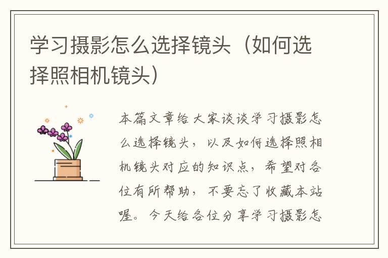 学习摄影怎么选择镜头（如何选择照相机镜头）