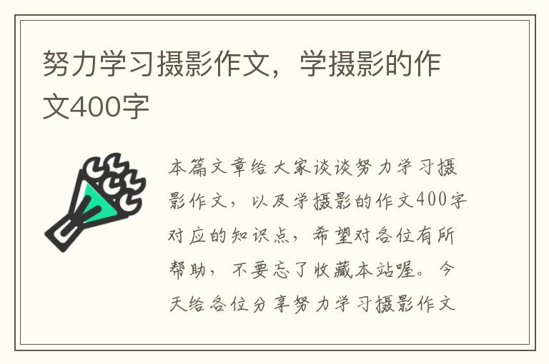 努力学习摄影作文，学摄影的作文400字