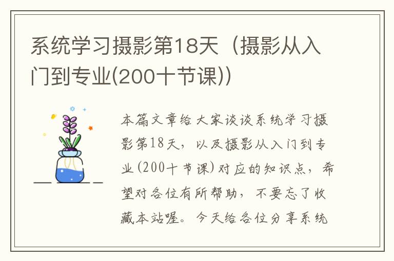 系统学习摄影第18天（摄影从入门到专业(200十节课)）