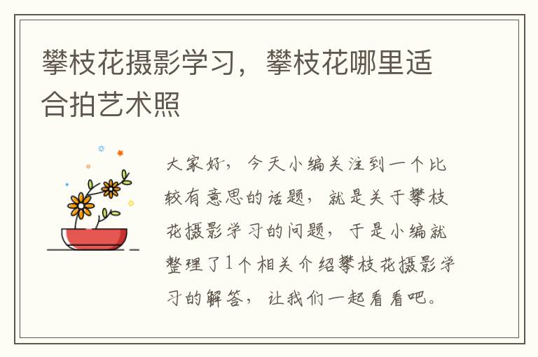 攀枝花摄影学习，攀枝花哪里适合拍艺术照