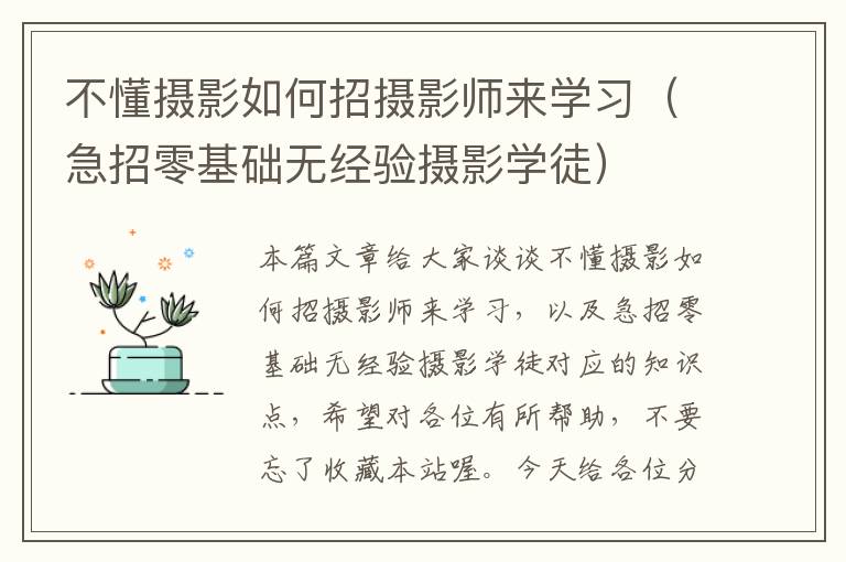 不懂摄影如何招摄影师来学习（急招零基础无经验摄影学徒）