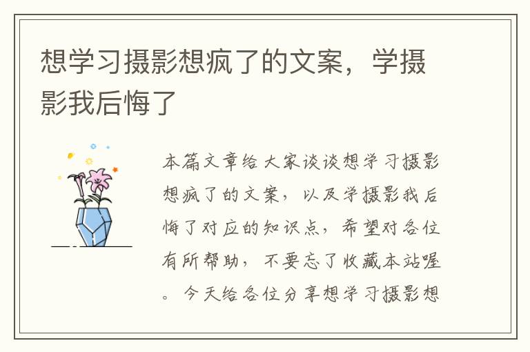 想学习摄影想疯了的文案，学摄影我后悔了