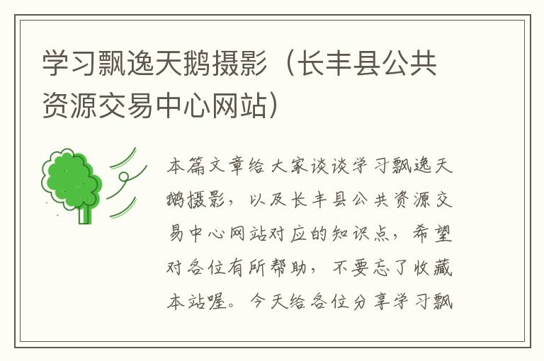 学习飘逸天鹅摄影（长丰县公共资源交易中心网站）