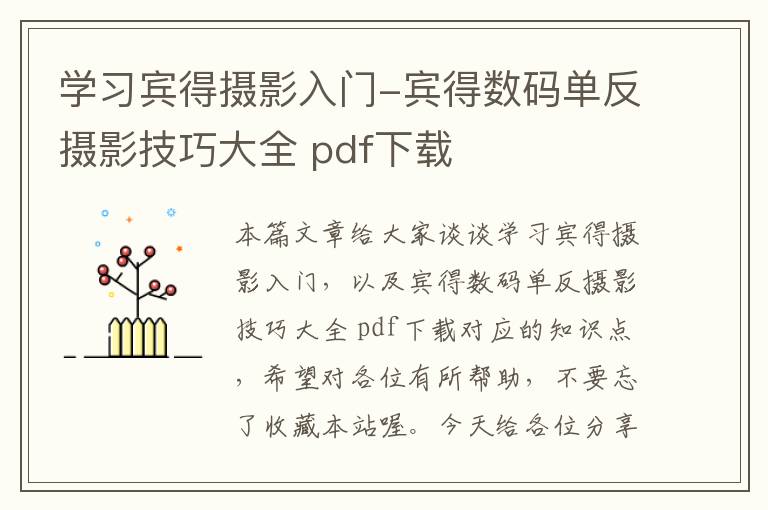 学习宾得摄影入门-宾得数码单反摄影技巧大全 pdf下载