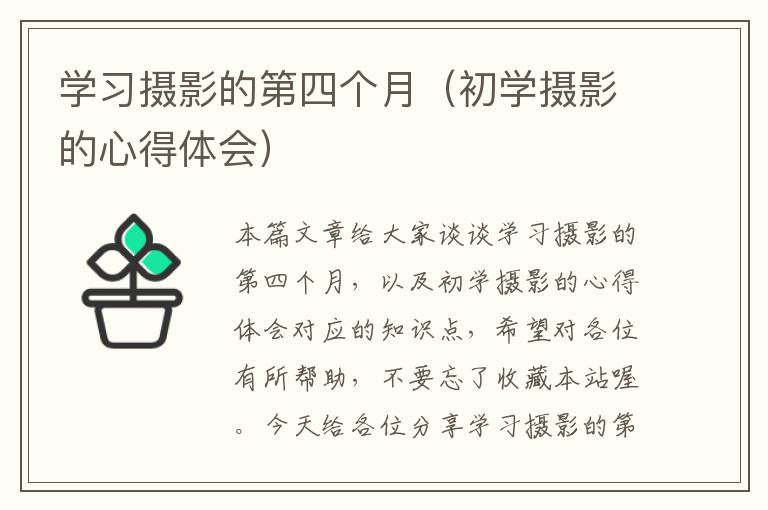 学习摄影的第四个月（初学摄影的心得体会）