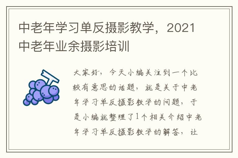 中老年学习单反摄影教学，2021中老年业余摄影培训