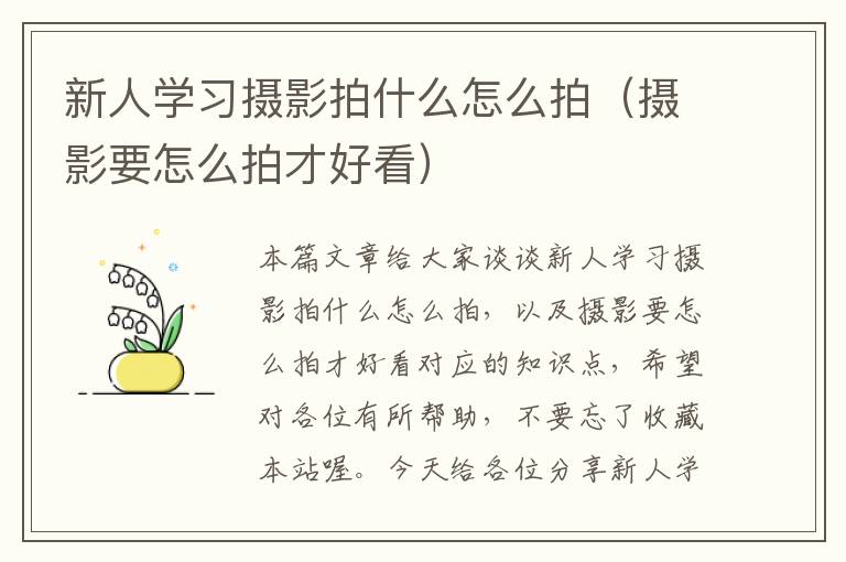 新人学习摄影拍什么怎么拍（摄影要怎么拍才好看）