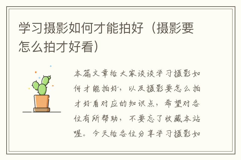 学习摄影如何才能拍好（摄影要怎么拍才好看）