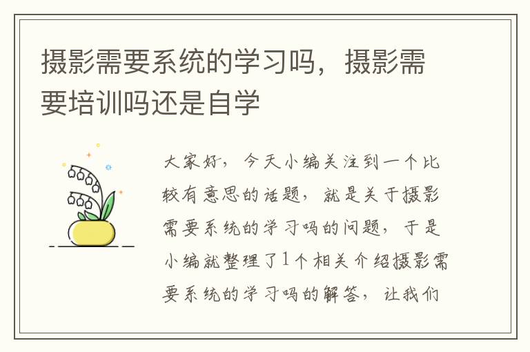 摄影需要系统的学习吗，摄影需要培训吗还是自学