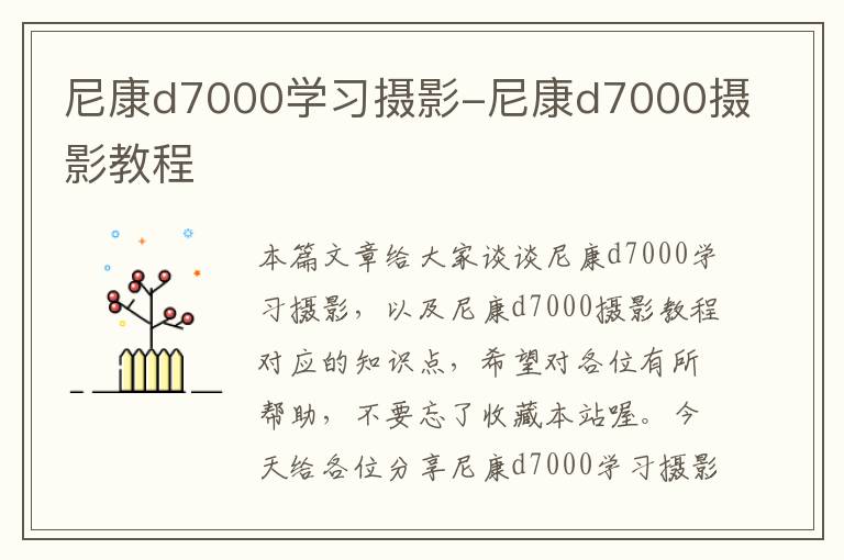 尼康d7000学习摄影-尼康d7000摄影教程