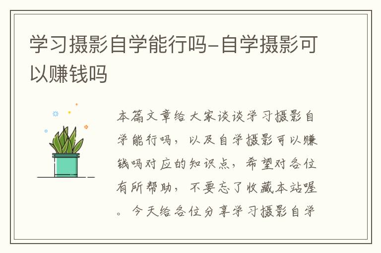 学习摄影自学能行吗-自学摄影可以赚钱吗