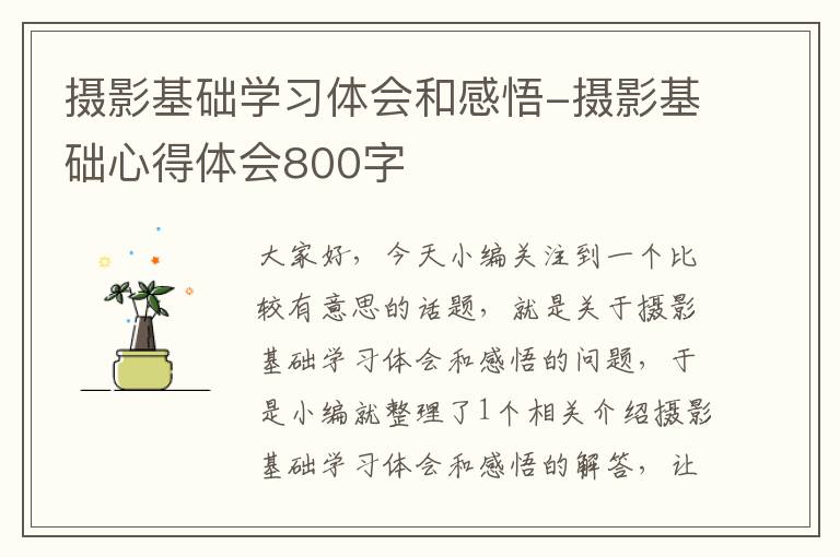 摄影基础学习体会和感悟-摄影基础心得体会800字